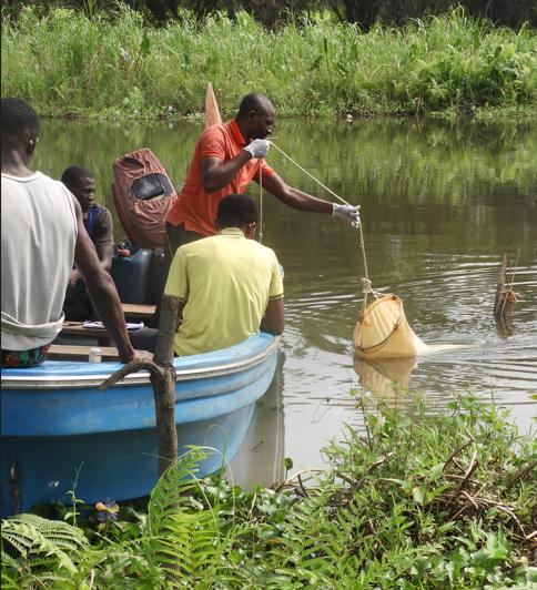 Environmental Management